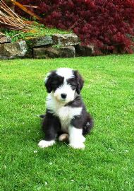 Rylie May 2010
